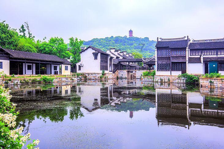 空洞骑士